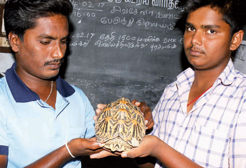 கிணற்றில் கிடந்த அபூர்வ நட்சத்திர ஆமையை மீட்டு வனத்துறையினரிடம் ஒப்படைத்த பள்ளி மாணவர்