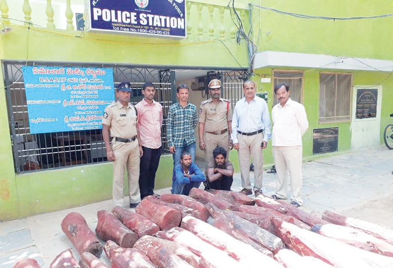 செம்மரக்கட்டை கடத்திய 2 பேர் கைது வனத்துறையினர் மீது கற்கள் வீசியதால் பரபரப்பு