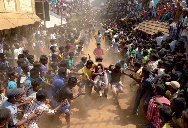 தம்மம்பட்டி அருகே ஜல்லிக்கட்டில் சீறிப்பாய்ந்த காளைகள் 20 மாடுபிடி வீரர்கள் காயம்