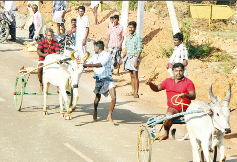 தஞ்சை அருகே மாட்டுவண்டி பந்தயம் 2-வது நாளாக சேவல் சண்டையும் நடந்தது