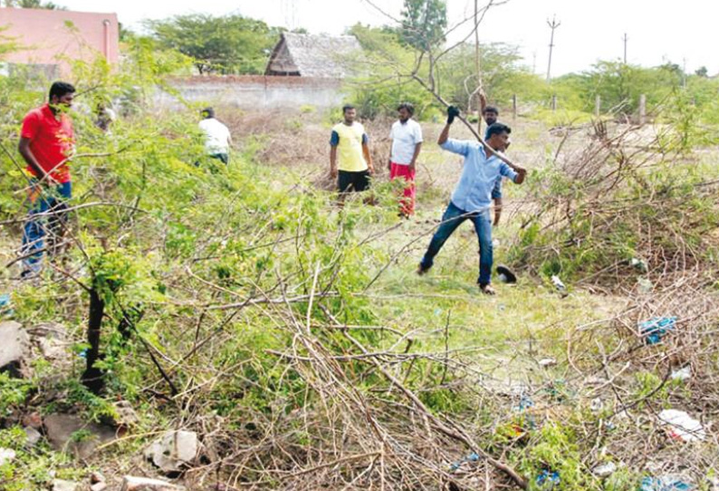 நாகையில் மாணவர்கள், இளைஞர்கள் சீமைக்கருவேல மரங்களை அகற்றினர்