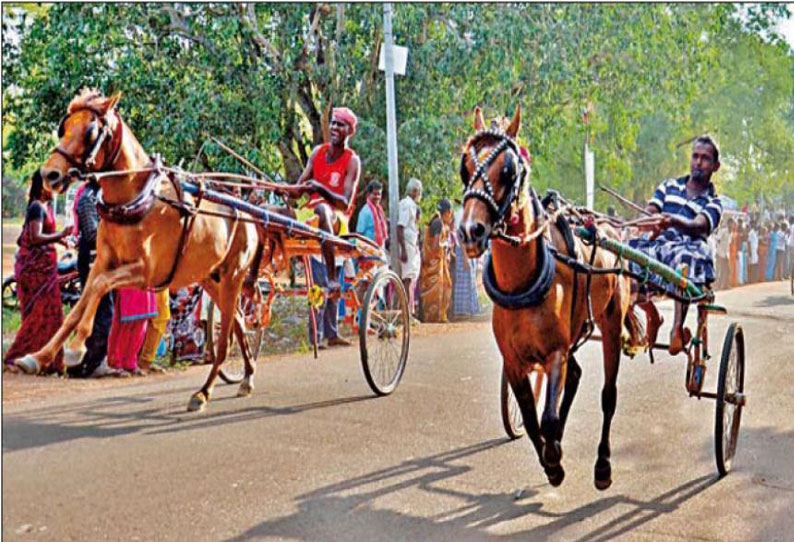 சிவகங்கை அருகே மாட்டு வண்டி, குதிரை வண்டி பந்தயம்