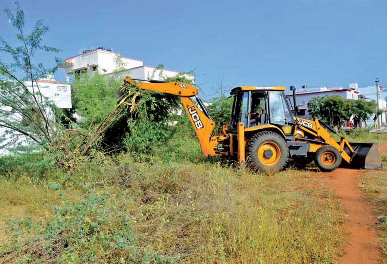 வாடிப்பட்டி பேரூராட்சியில் சீமைக்கருவேல மரங்களை அகற்றும் பணி தீவிரம்