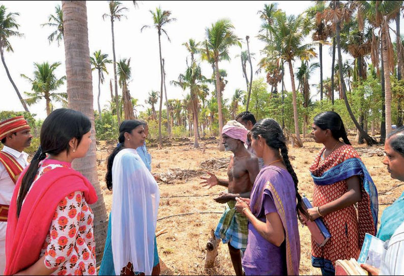 வறட்சியால் பாதிக்கப்பட்ட பகுதிகளில் கலெக்டர் ஆய்வு