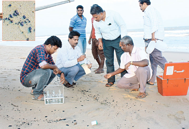 வீராம்பட்டினம், நல்லவாடு கடற்கரை பகுதியில் கரை ஒதுங்கிய எண்ணெய் படலம்