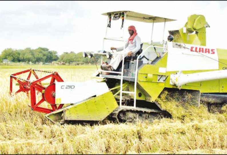 வறட்சி, தண்ணீர் பற்றாக்குறையால் சம்பா மகசூல் பெருமளவில் குறைந்தது