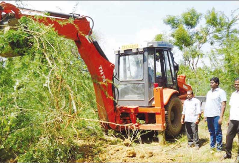 சீமைக்கருவேல மரங்களை 20-ந்தேதிக்குள் நில உரிமையாளர்கள் அகற்ற வேண்டும் நகராட்சி ஆணையர் உத்தரவு