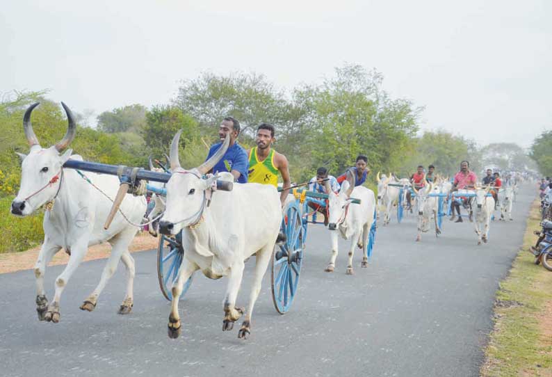 திருமயம் அருகே நெய்வாசலில் மாட்டு வண்டி பந்தயம் மாடுகள் சீறிப்பாய்ந்து சென்றன