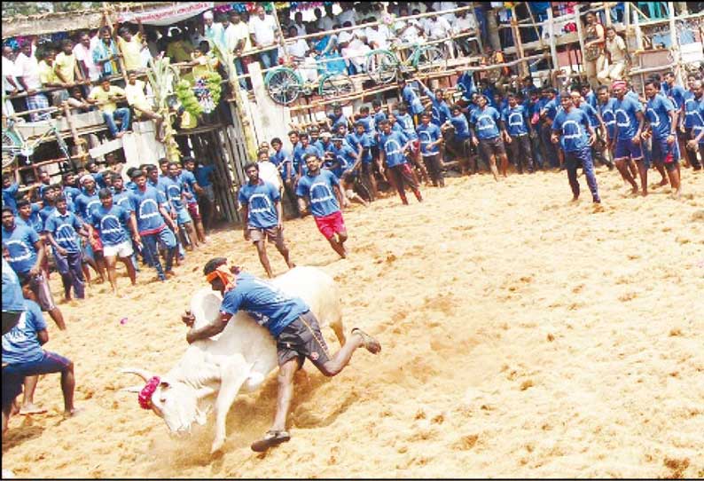 சமயபுரம் அருகே ஜல்லிக்கட்டில் சீறிப்பாய்ந்த காளைகளை வீரர்கள் போட்டி போட்டு அடக்கினர்