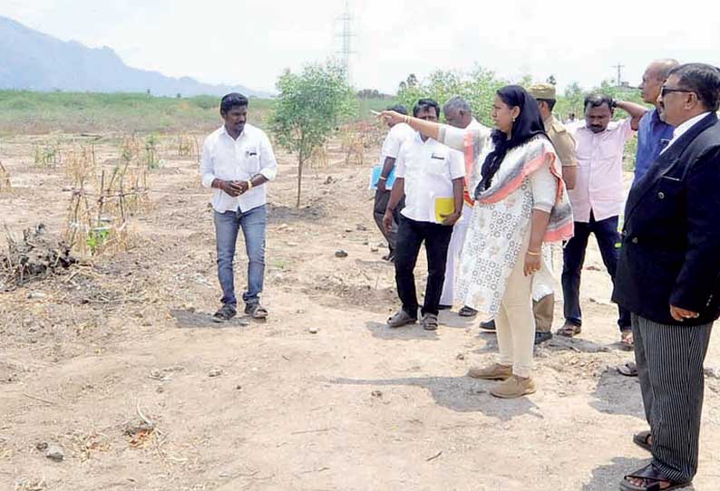 மாவட்டம் முழுவதும் 1,436 ஏக்கர் பரப்பளவில் சீமைக்கருவேல மரங்கள் அகற்றம்