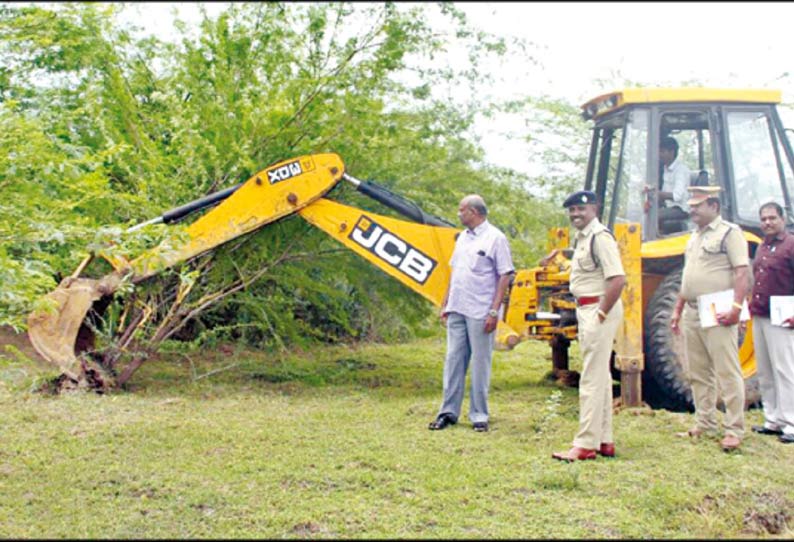 சீமைக்கருவேல மரங்கள் அகற்றும் பணி