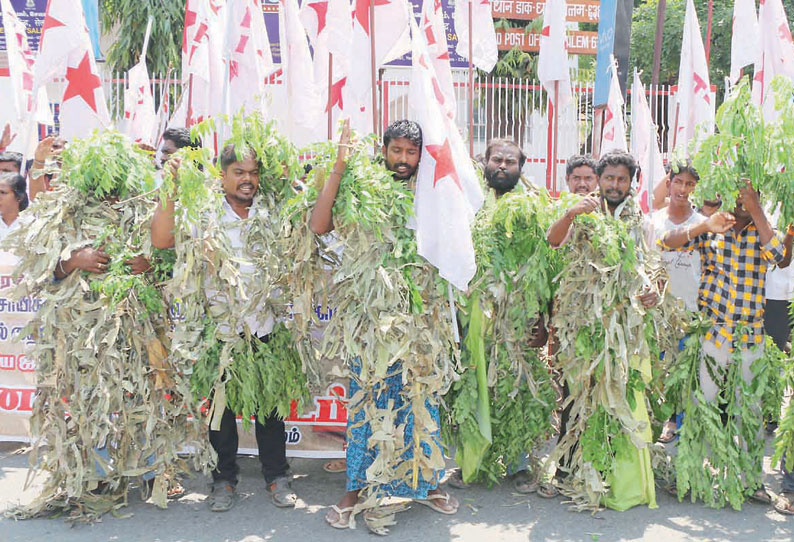 டெல்லியில் போராடும் விவசாயிகளுக்கு ஆதரவாக ஜனநாயக வாலிபர் சங்கத்தினர் இலை, தழைகளை சுற்றிக்கொண்டு ஆர்ப்பாட்டம்