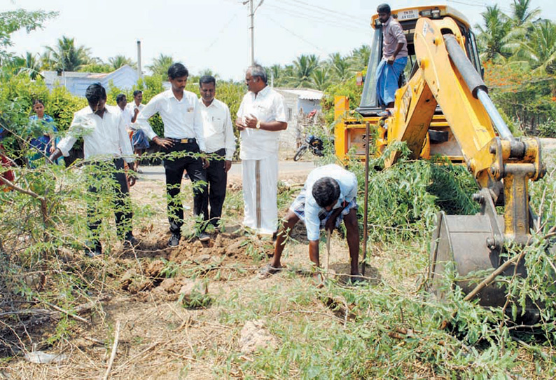 சீமைக்கருவேல மரங்கள் அகற்றும் பணி: மதுரை ஐகோர்ட்டு வக்கீல் ஆய்வு