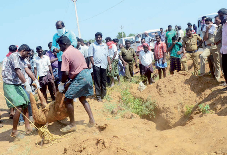 10 பவுன் நகைக்காக கொன்று புதைக்கப்பட்ட பெண்ணின் உடல் தோண்டியெடுப்பு