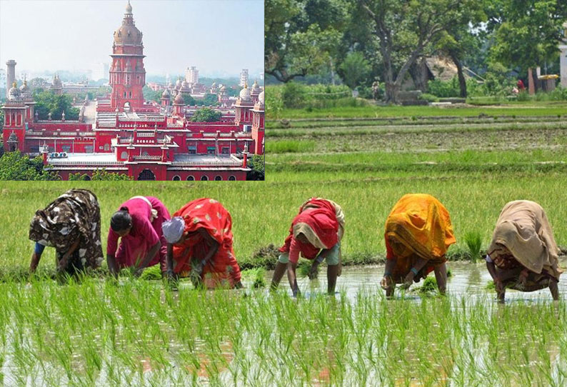 அனைத்து விவசாயிகளின் கடன்களை தள்ளுபடி செய்ய வேண்டும் தமிழக அரசுக்கு ஐகோர்ட்டு உத்தரவு அனைத்து விவசாயிகளின் கடன்களை தள்ளுபடி செய்ய வேண்டும் தமிழக அரசுக்கு ஐகோர்ட்டு உத்தரவு