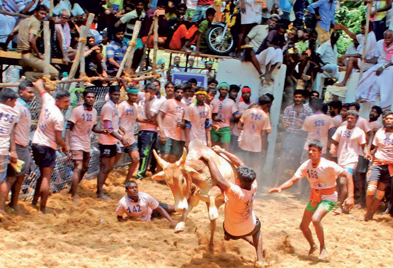 பெத்தனசாமி, சின்னச்சாமி கோவில் திருவிழா பேரையூர் அருகே உள்ள மங்கல்ரேவுவில் ஜல்லிக்கட்டு