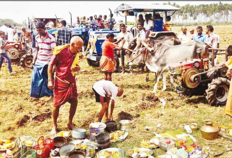 திருவையாறில் விவசாயிகள் நல் ஏர் பூட்டி விவசாய பணியை தொடங்கினர்