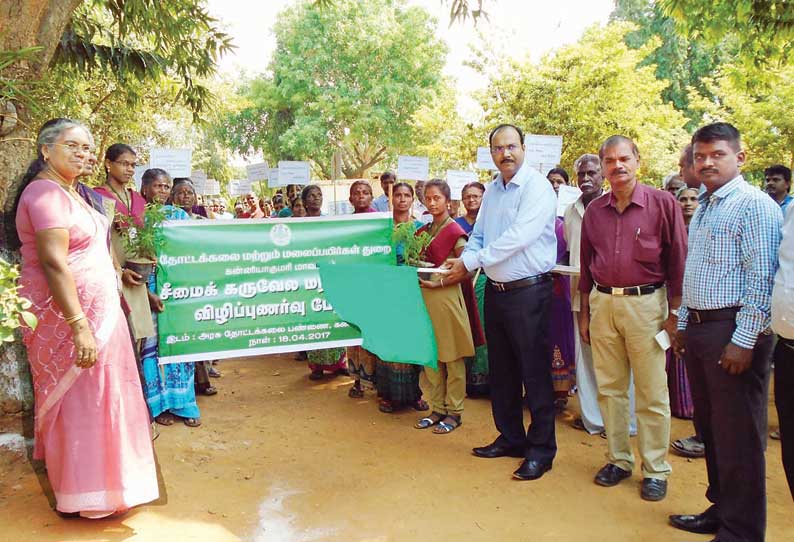 சீமை கருவேலம் மரம் ஒழிப்பு விழிப்புணர்வு பேரணி கலெக்டர் தொடங்கி வைத்தார்