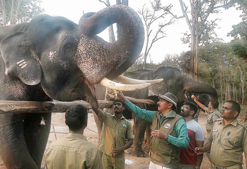 முதுமலையில் 30 நாட்கள் நடந்த வளர்ப்பு யானைகள் புத்துணர்வு முகாம் நிறைவு