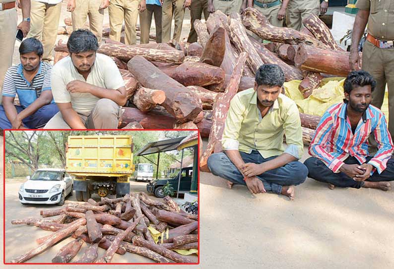 கிருஷ்ணகிரியில் 2 டன் செம்மரக்கட்டைகள் கடத்திய 4 பேர் கைது டிப்பர் லாரி – கார் பறிமுதல்