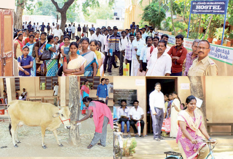 பாளையங்கோட்டையில் கால்நடை பராமரிப்பு உதவியாளர் பணிக்கு 2–வது நாளாக நேர்காணல்