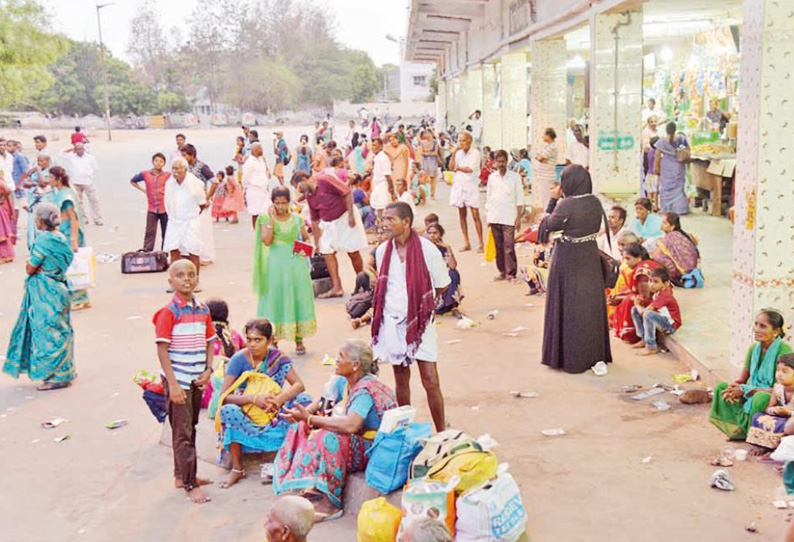 தூத்துக்குடி மாவட்டத்தில் மாற்று டிரைவர்களை கொண்டு முழுமையாக பஸ்களை இயக்க நடவடிக்கை கலெக்டர் தகவல்