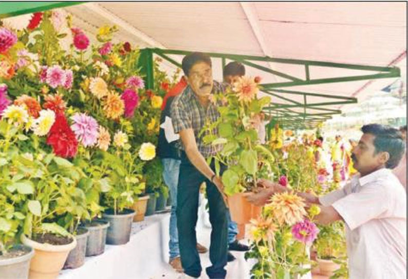 121-வது மலர் கண்காட்சியை முன்னிட்டு ஊட்டி அரசு தாவரவியல் பூங்காவில் மலர் தொட்டிகள் அடுக்கி வைக்கும் பணி மும்முரம்