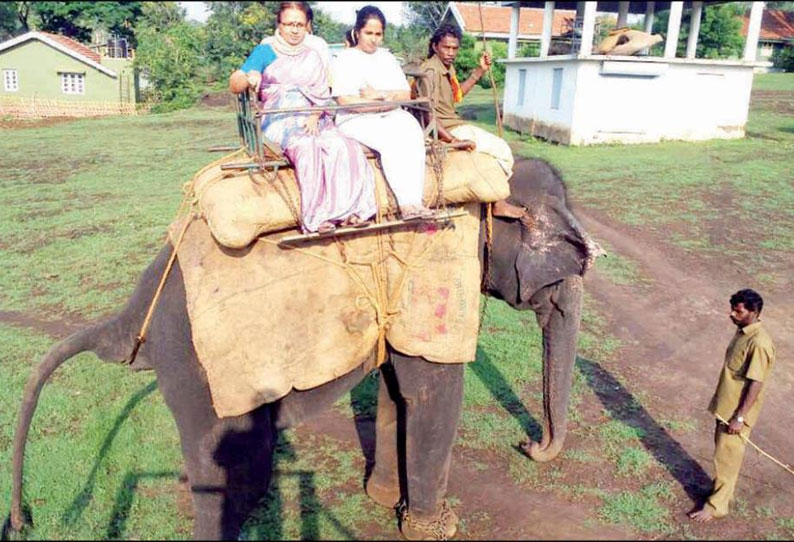 முதுமலையில் யானை சவாரி மீண்டும் தொடங்கியது, சுற்றுலா பயணிகள் மகிழ்ச்சி