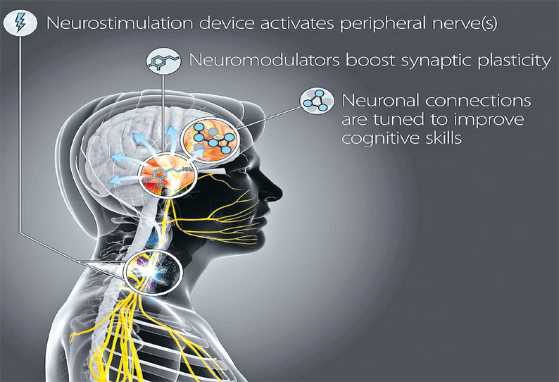 திறன்களை மூளைக்குள் ‘டவுன்லோடு’ செய்யும் தொழில்நுட்பம்!