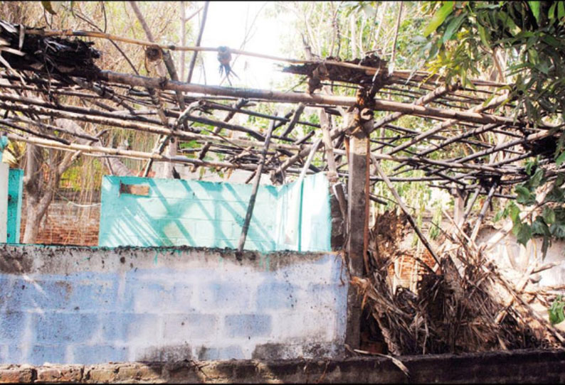 ஸ்ரீரங்கத்தில் தீ விபத்து: 4 குடிசைகள் எரிந்து சாம்பல்; மூதாட்டி கருகி சாவு