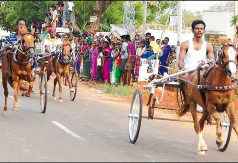 கல்லல், திருப்பத்தூர் பகுதிகளில் குதிரை, மாட்டு வண்டி பந்தயம்