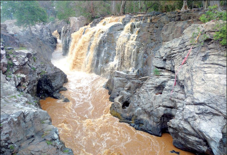 கனமழை: ஒகேனக்கல்லுக்கு நீர்வரத்து வினாடிக்கு 1,800 கனஅடியாக அதிகரிப்பு