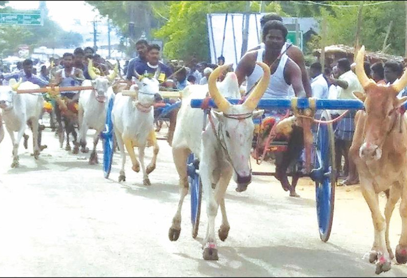 கோவில் திருவிழாவையொட்டி மாட்டுவண்டி பந்தயம்