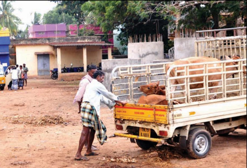 மத்திய அரசின் தடை உத்தரவால் வெறிச்சோடிய நாகர்கோவில் மாட்டுச்சந்தை