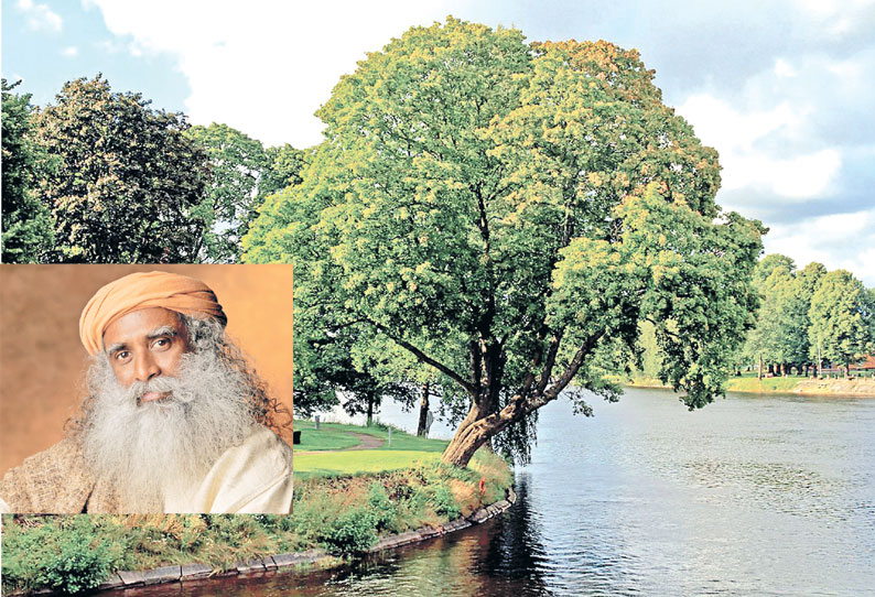 மரங்களும், நதிகளும் இல்லாவிட்டால் நாம் காணாமல் போய்விடுவோம்.. - சத்குரு