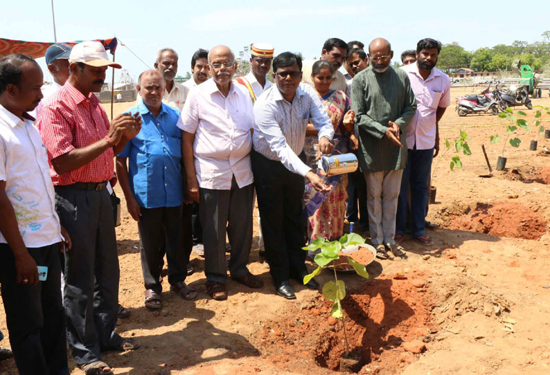 கடலூரில், ஈஷா பசுமை கரங்கள் சார்பில் மரக்கன்று நடும் விழா