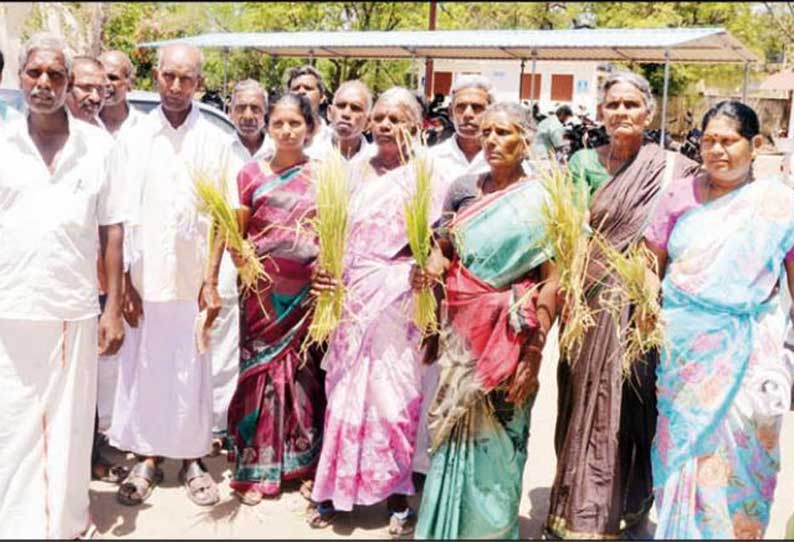 மயில், குரங்கு தொல்லையில் இருந்து விவசாய பயிர்களை காப்பாற்ற வேண்டும் பொதுமக்கள் மனு