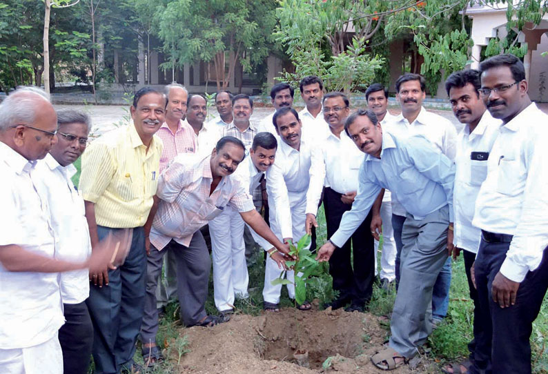 குடியாத்தம் கோர்ட்டு வளாகத்தில் மரக்கன்றுகள் நடும் விழா