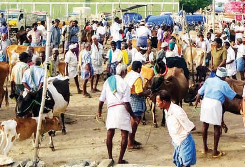 அந்தியூர் கால்நடை சந்தையில் எருமை மாடு ரூ.60 ஆயிரத்துக்கு விற்பனை