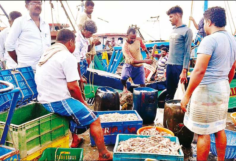 தஞ்சை மாவட்ட விசைப்படகு மீனவர்கள் கரை திரும்பினர் போதிய அளவு மீன்கள் கிடைக்கவில்லை