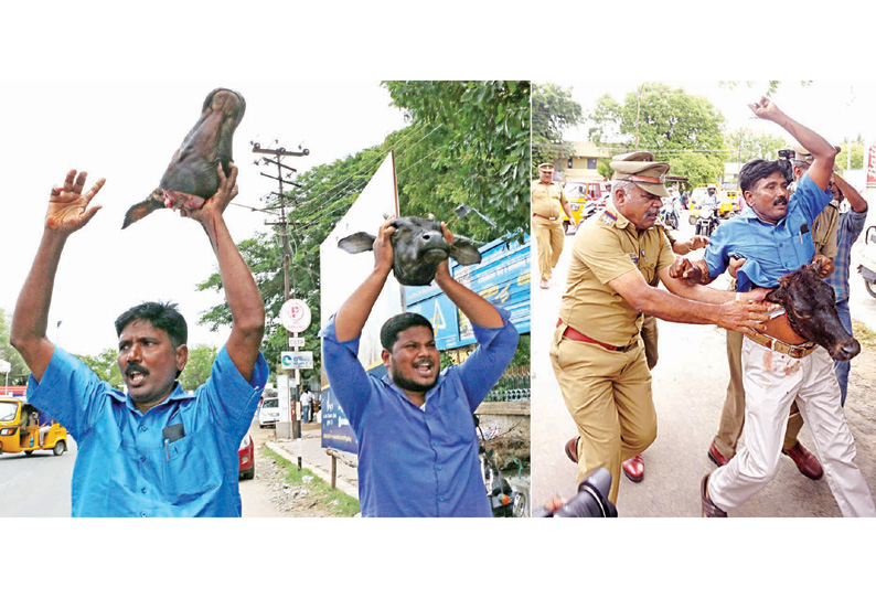 இறைச்சிக்காக மாடுகளை விற்க தடை விதித்ததை கண்டித்து போராட்டத்தில் ஈடுபட்ட ஆதித்தமிழர் பேரவையை சேர்ந்த 38 பேர் கைது