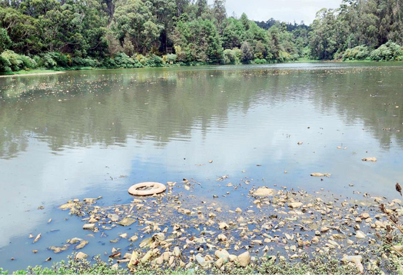 பிளாஸ்டிக் கழிவுகளின் ஆதிக்கம் அதிகரிப்பு, ஊட்டி படகு இல்லத்தை மேம்படுத்த நடவடிக்கை எடுக்கப்படுமா? பிளாஸ்டிக் கழிவுகளின் ஆதிக்கம் அதிகரிப்பு, ஊட்டி படகு இல்லத்தை மேம்படுத்த நடவடிக்கை எடுக்கப்படுமா?