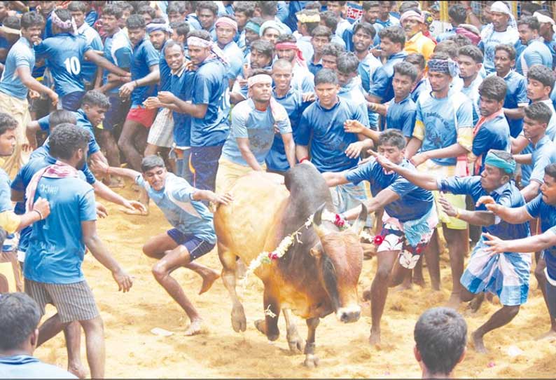 ஆலங்குடி அருகே ஜல்லிக்கட்டில் காளைகள் முட்டியதில் 90 பேர் காயம்