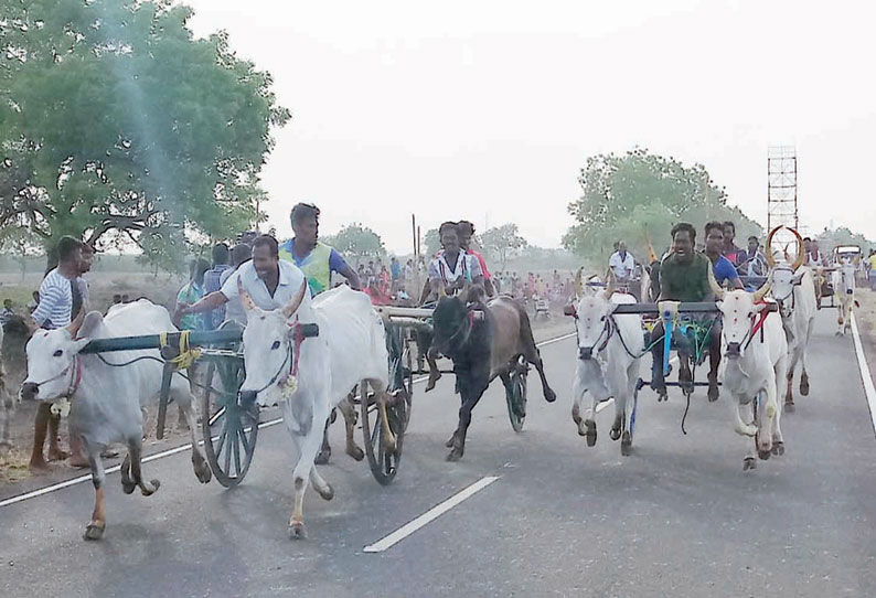 விளாத்திகுளம் அருகே மாட்டு வண்டி போட்டி