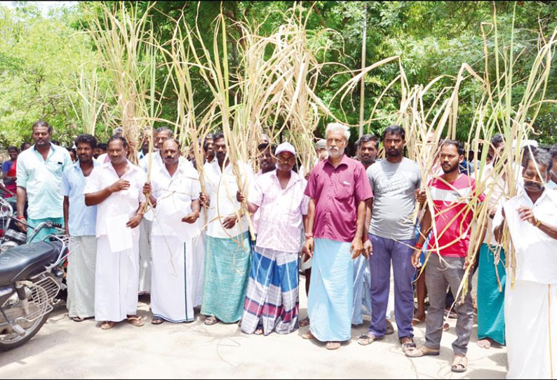 தனியார் சர்க்கரை ஆலைக்கு கரும்புகளை அனுப்ப நடவடிக்கை எடுக்க வேண்டும், கலெக்டரிடம் விவசாயிகள் மனு