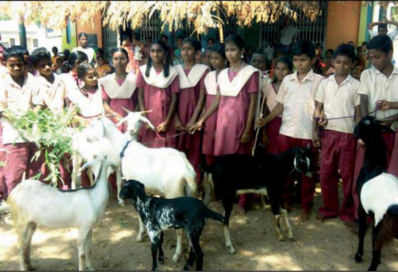 ஆத்தூர் அருகே கோவிலுக்கு ஆடுகளுடன் வந்த மலை கிராம மாணவ-மாணவிகள்