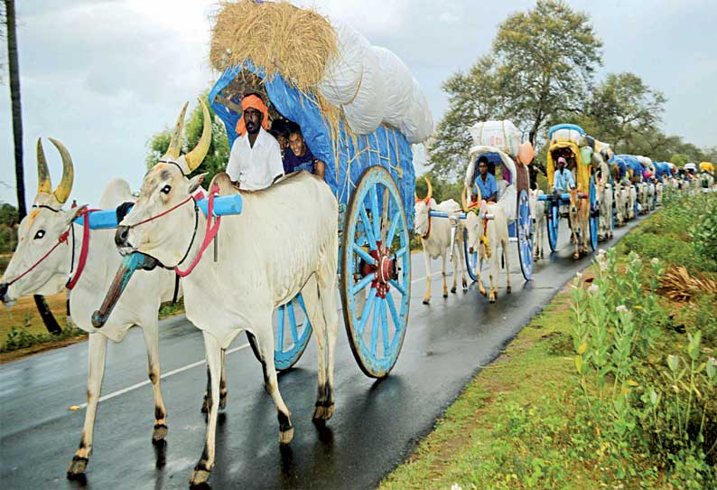 குலதெய்வத்தை வழிபட மாட்டு வண்டியில் பயணம் செய்யும் கிராம மக்கள்