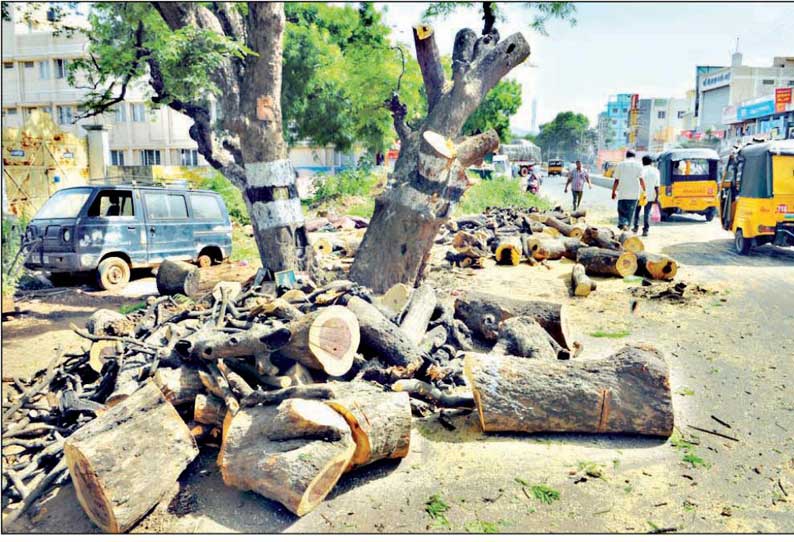 தேனி-பெரியகுளம் சாலையில் மரங்கள் வெட்டிய நெடுஞ்சாலைத்துறையினரை தடுத்து நிறுத்திய மக்கள்