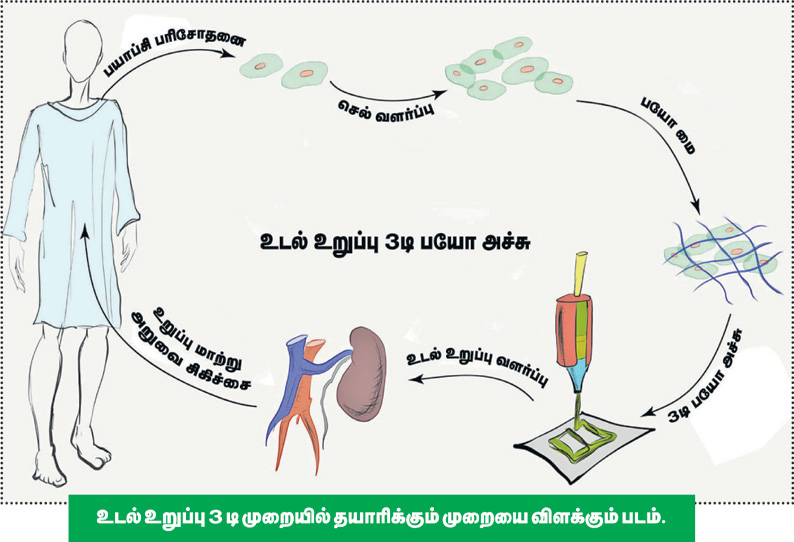 மருந்து உற்பத்திக்கு உதவும் பயோ பிரிண்டர்!