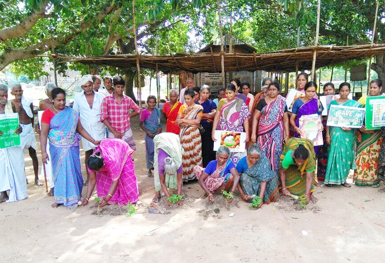 நெடுவாசலில் செடிகளை நட்டு பொதுமக்கள் போராட்டம்